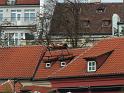 Prag204